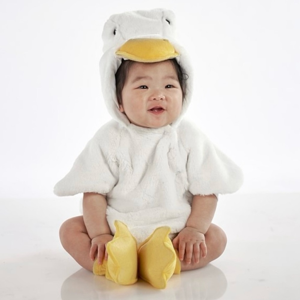 Pottery Barn Kids Baby Duck Costume